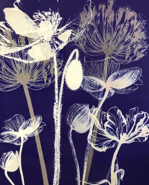 Cold Harbour Gallery | Sylvia Bull