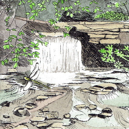 Coldharbour Gallery | Frome Waterfall